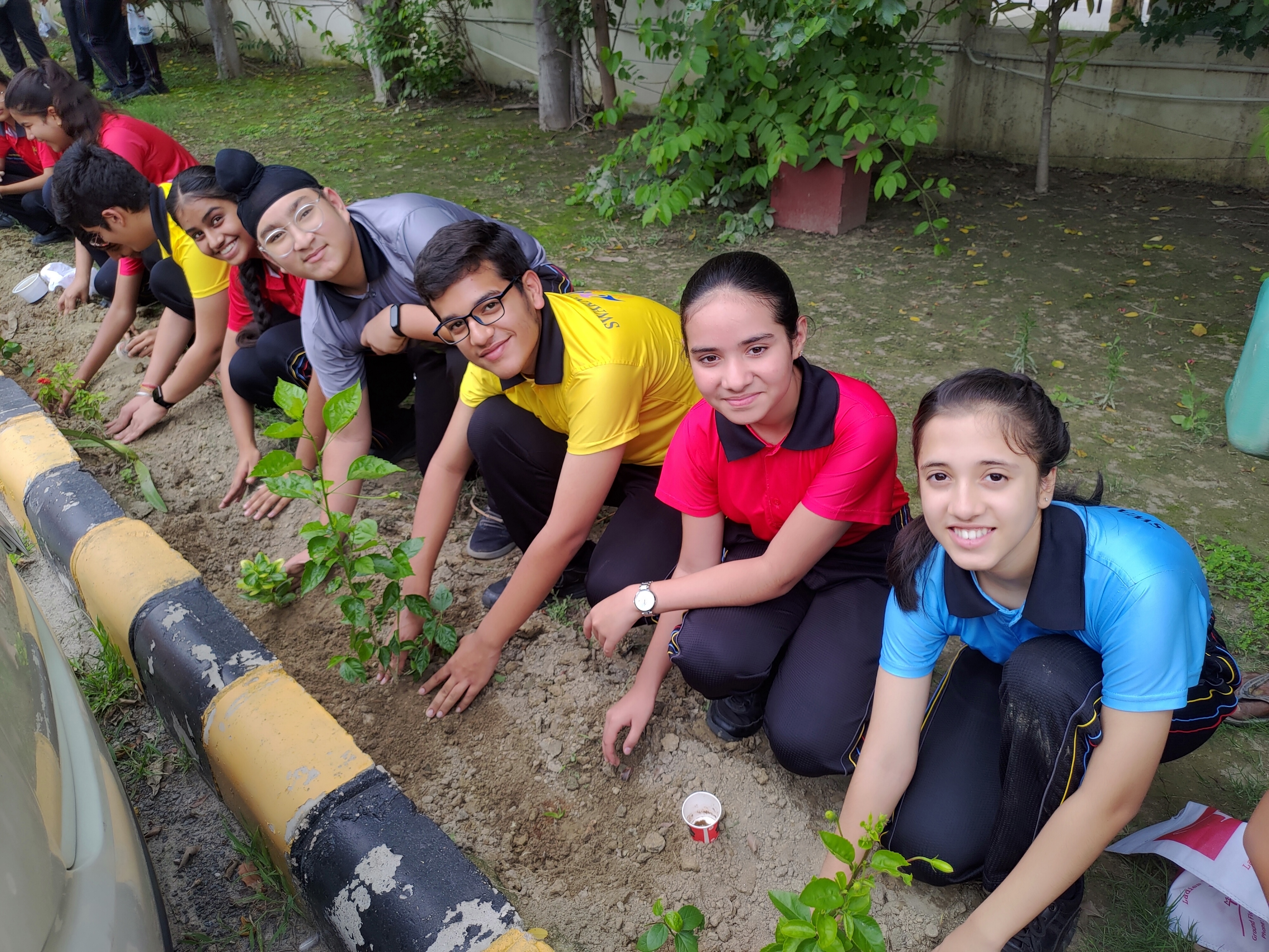 Tree Plantation Classes - 9 to 12