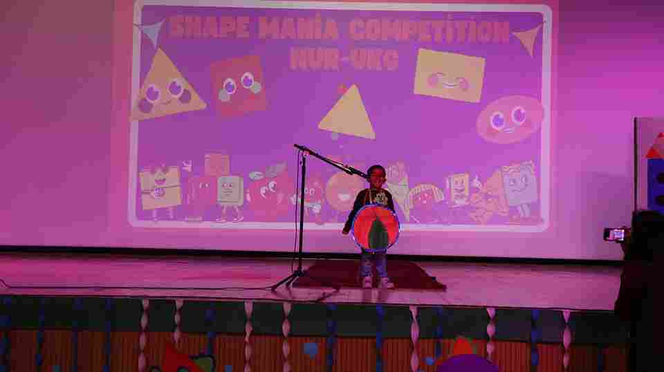 Shape Mania Report